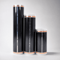 Graphene Heating Film